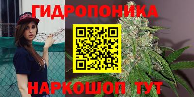 apvp Ковров