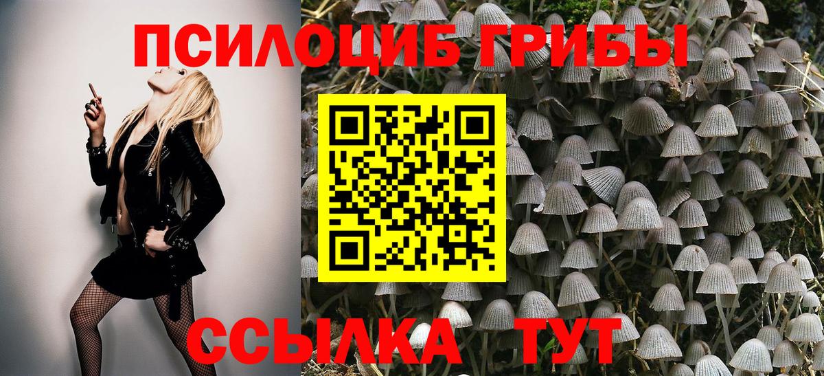 Галлюциногенные грибы мицелий Торжок